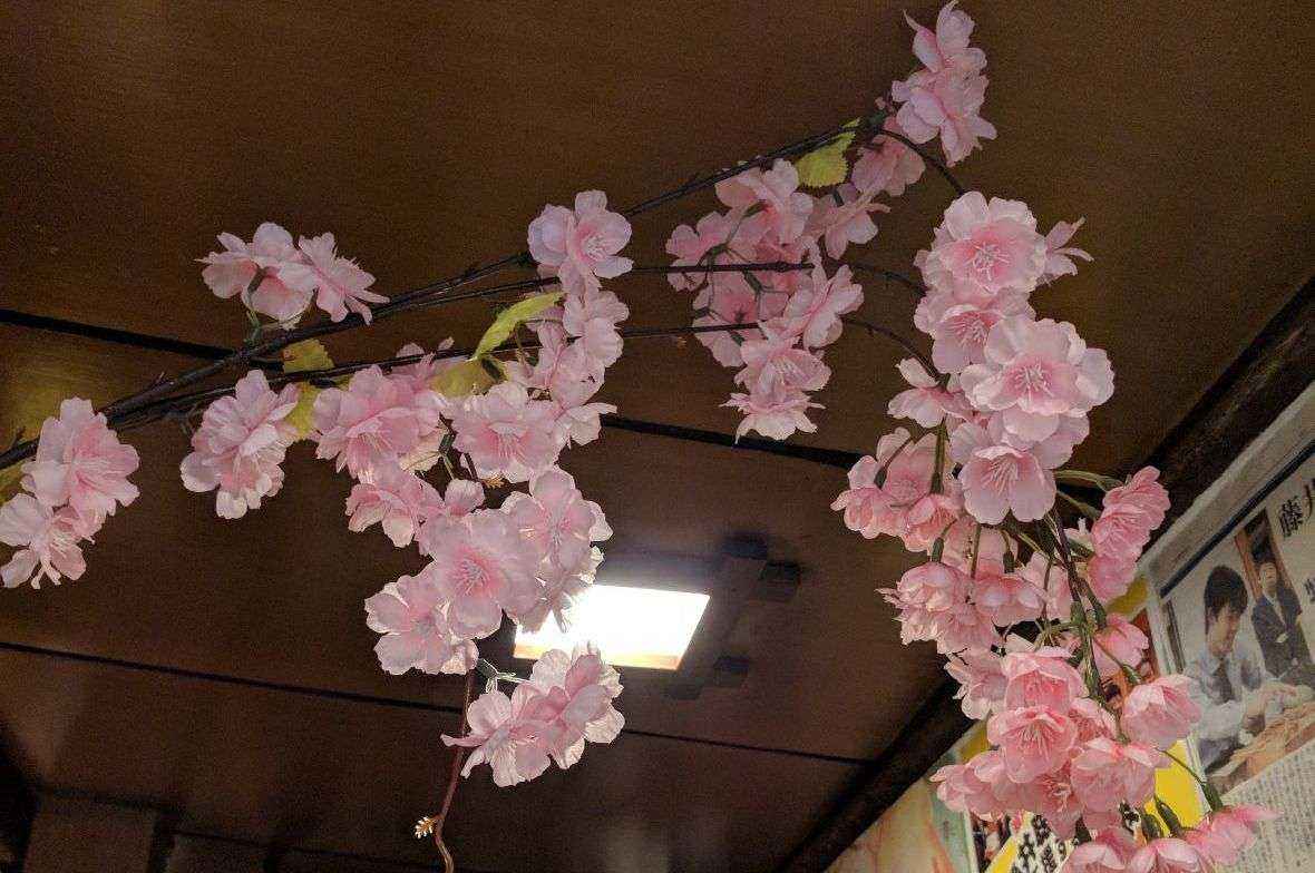 桜の飾りつけ3